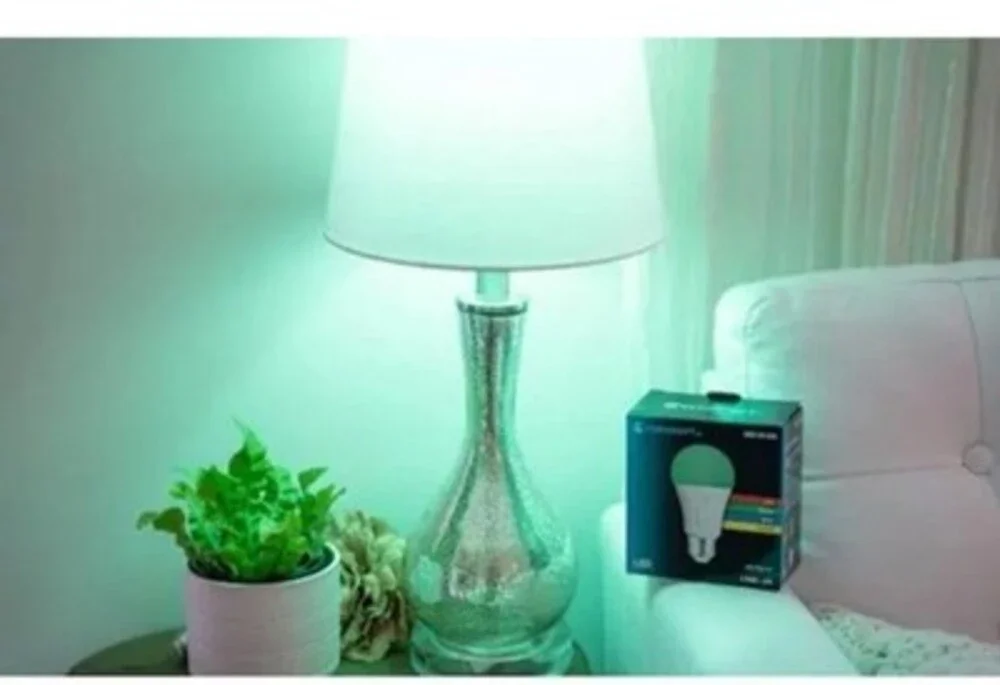 Ecosmart 5W A19 RGB LED Color-Changing Light Bulb 1006 787 896 2 PACK